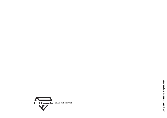 FTILES - 600x1200MM - Glossy