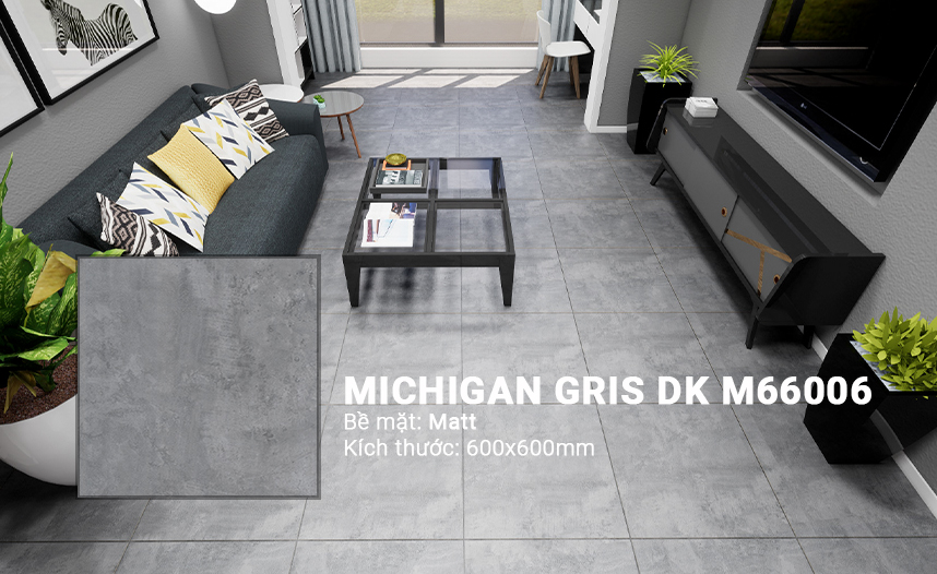 MICHIGAN GRIS DK M66006