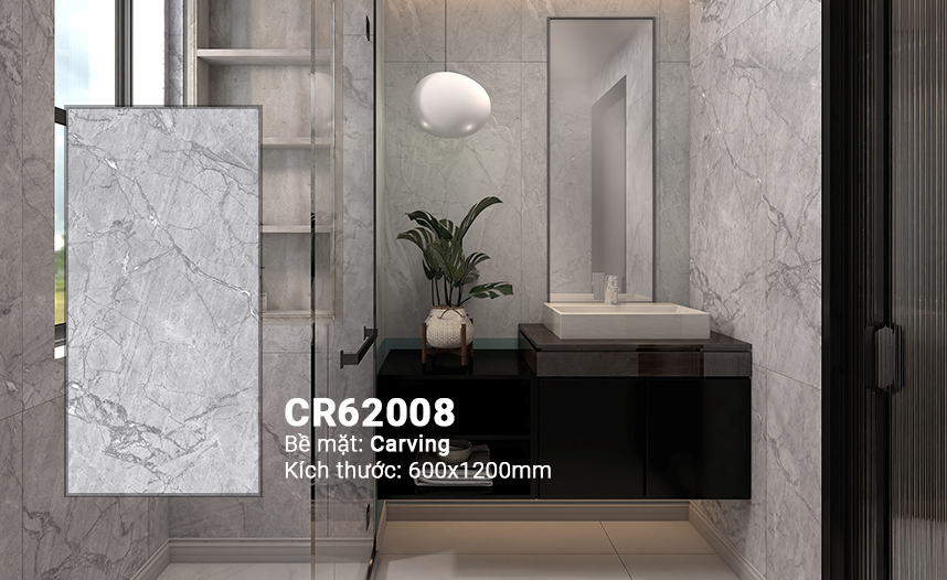 CR62008