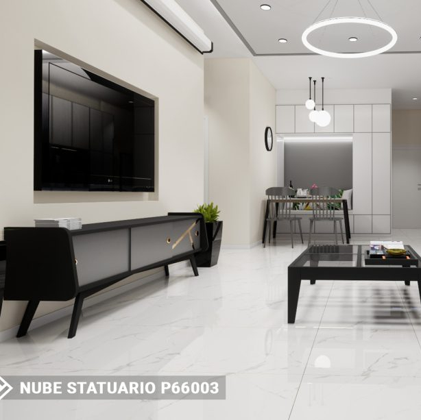 NUBE STATUARIO P66003