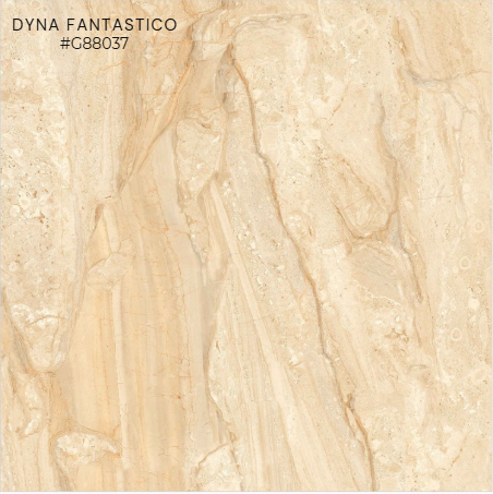 FTILES 800X800  DYNA FANTASTICO  G88037