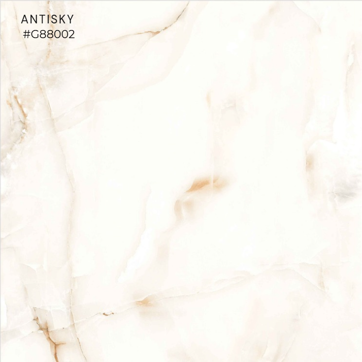 FTILES 800X800 ANTISKY G88002