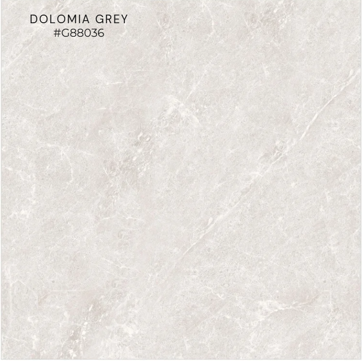 FTILES 800X800 DOLOMIA GREY  G88036