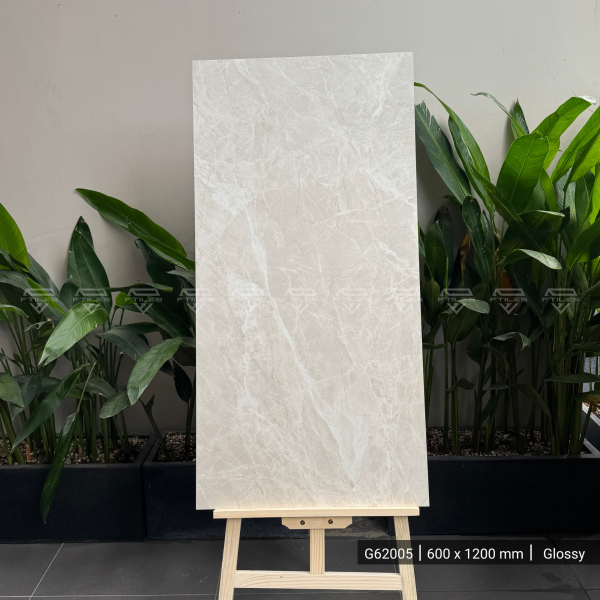 FTILES 600X1200 ALICANTE BROWN LIGHT G62005