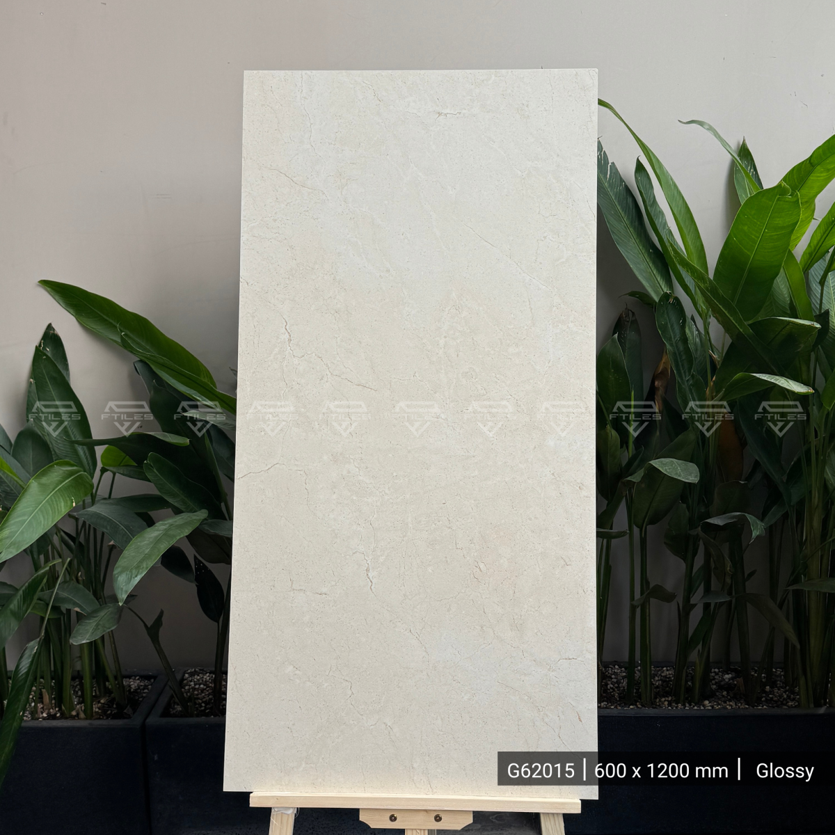 FTILES 600X1200 CREMA MARFIL G62015