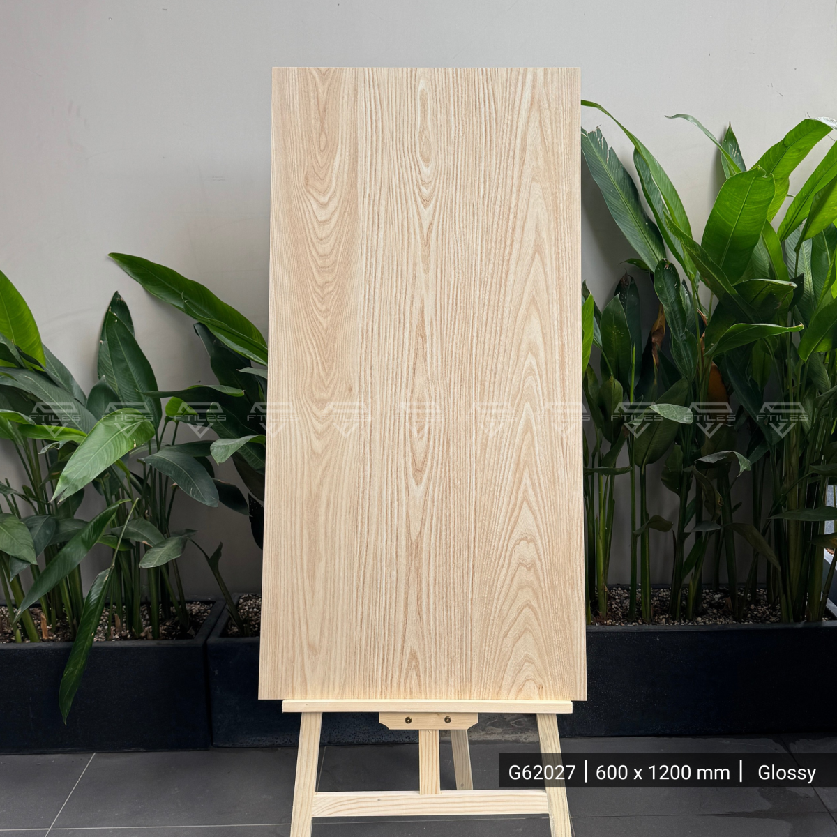 FTILES 600X1200 HACKBARRY BROWN LIGHT  G62027