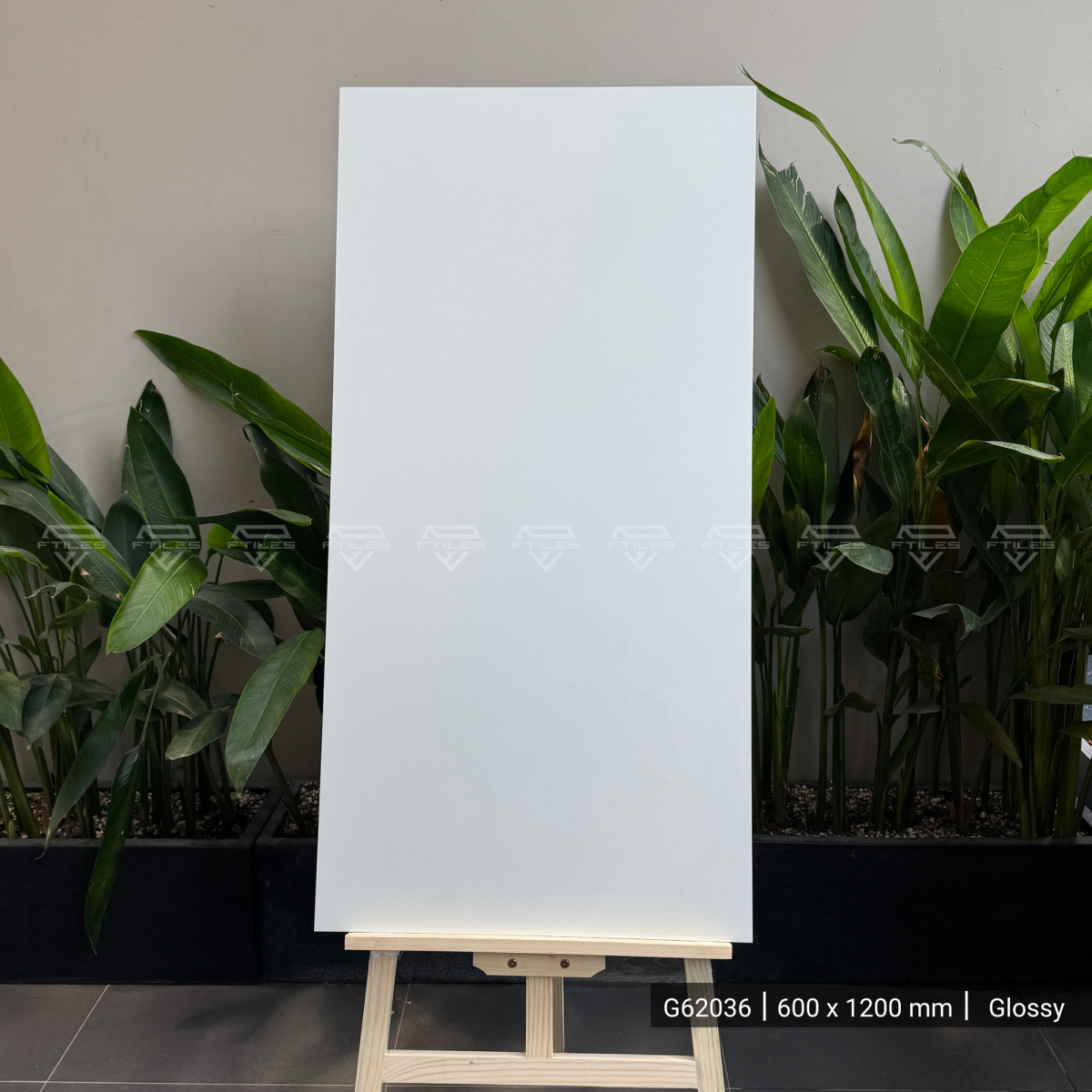 FTILES 600X1200 CRYSTAL WHITE G62036