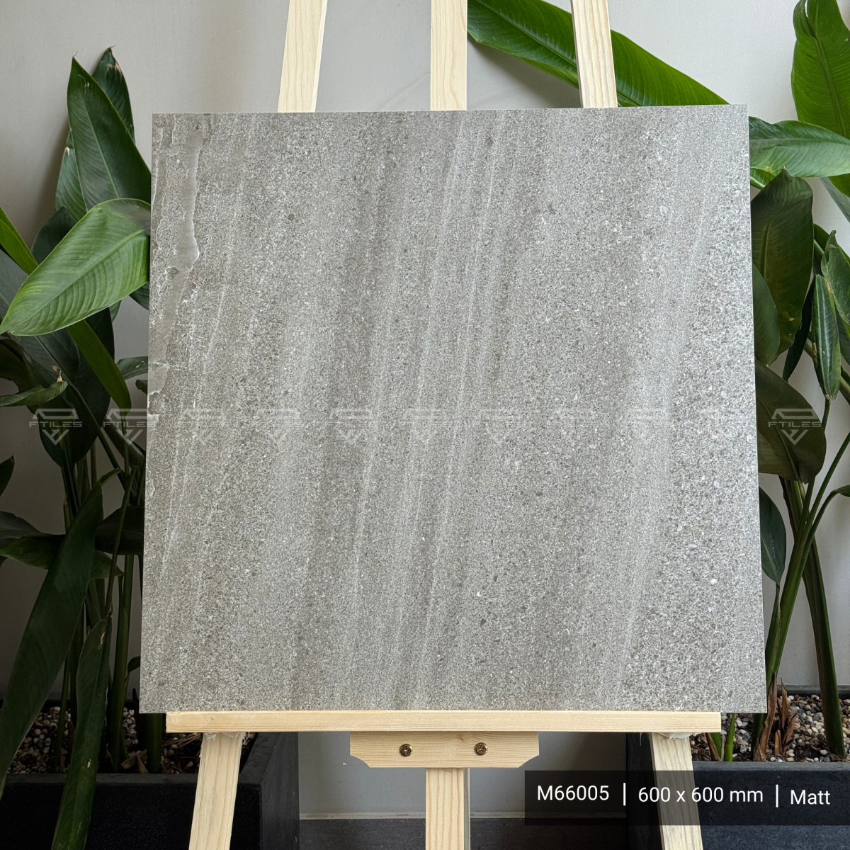 FTILES 600X600 NEXUS CAFE M66005