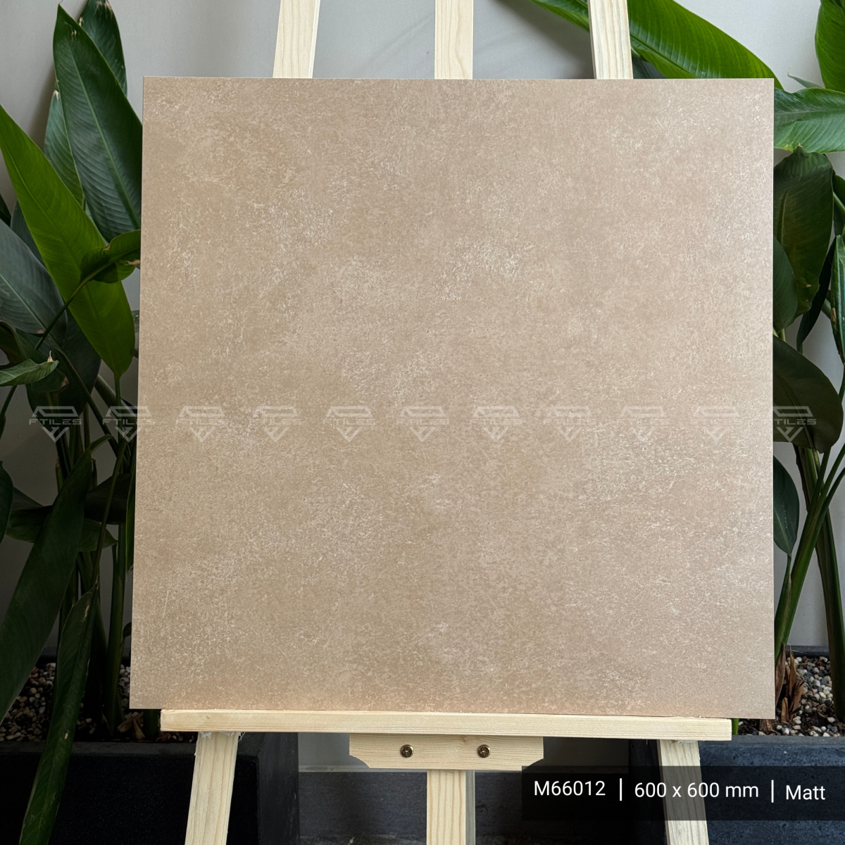 FTILES 600X600 ASTA CREMA M66012