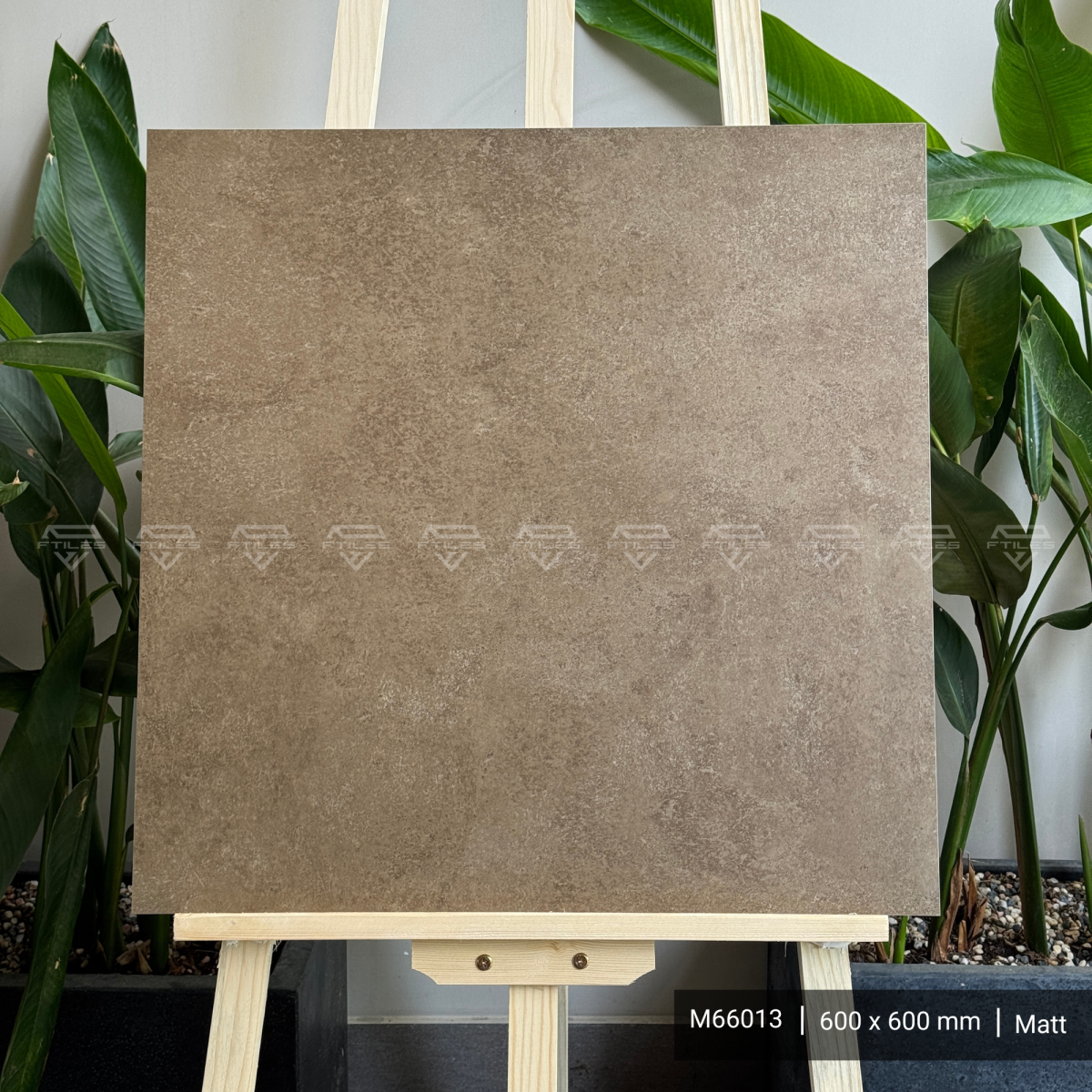 FTILES 600X600 ASTA BROWN  M66013
