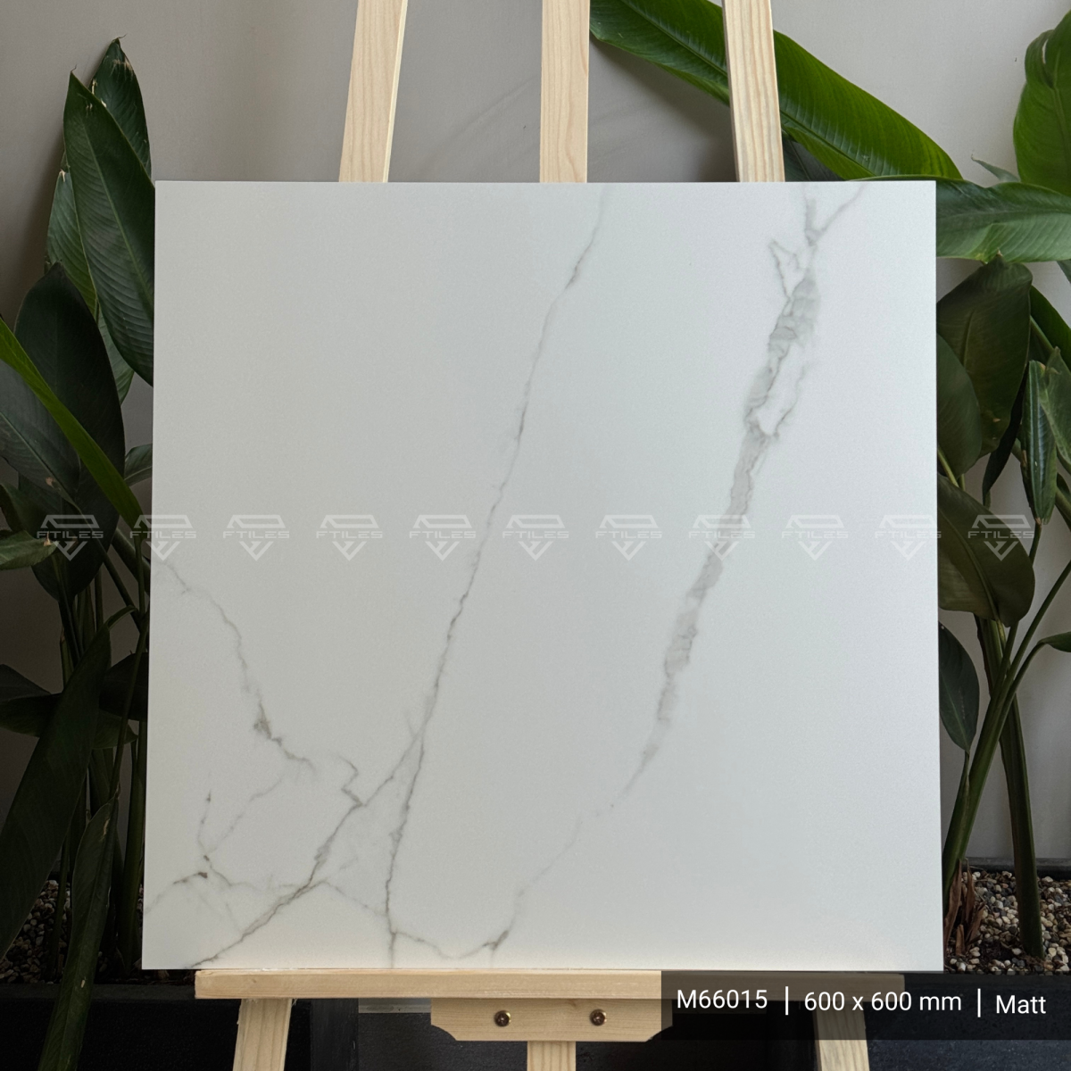 FTILES 600X600 ATLANTIC WHITE  M66015