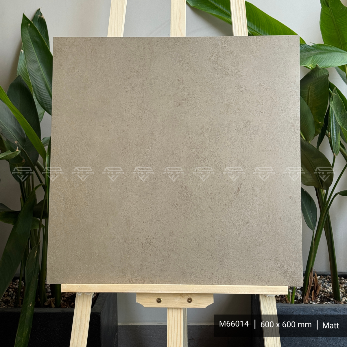 FTILES 600X600 ASTA-OCRE M66014