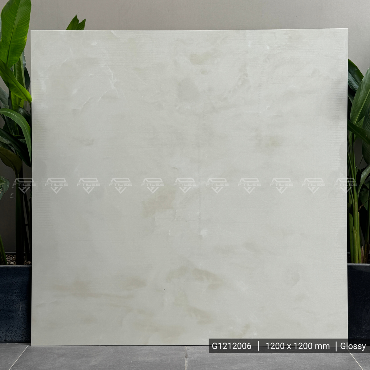 FTILES 1200X1200 ONYX IVORY G1212006