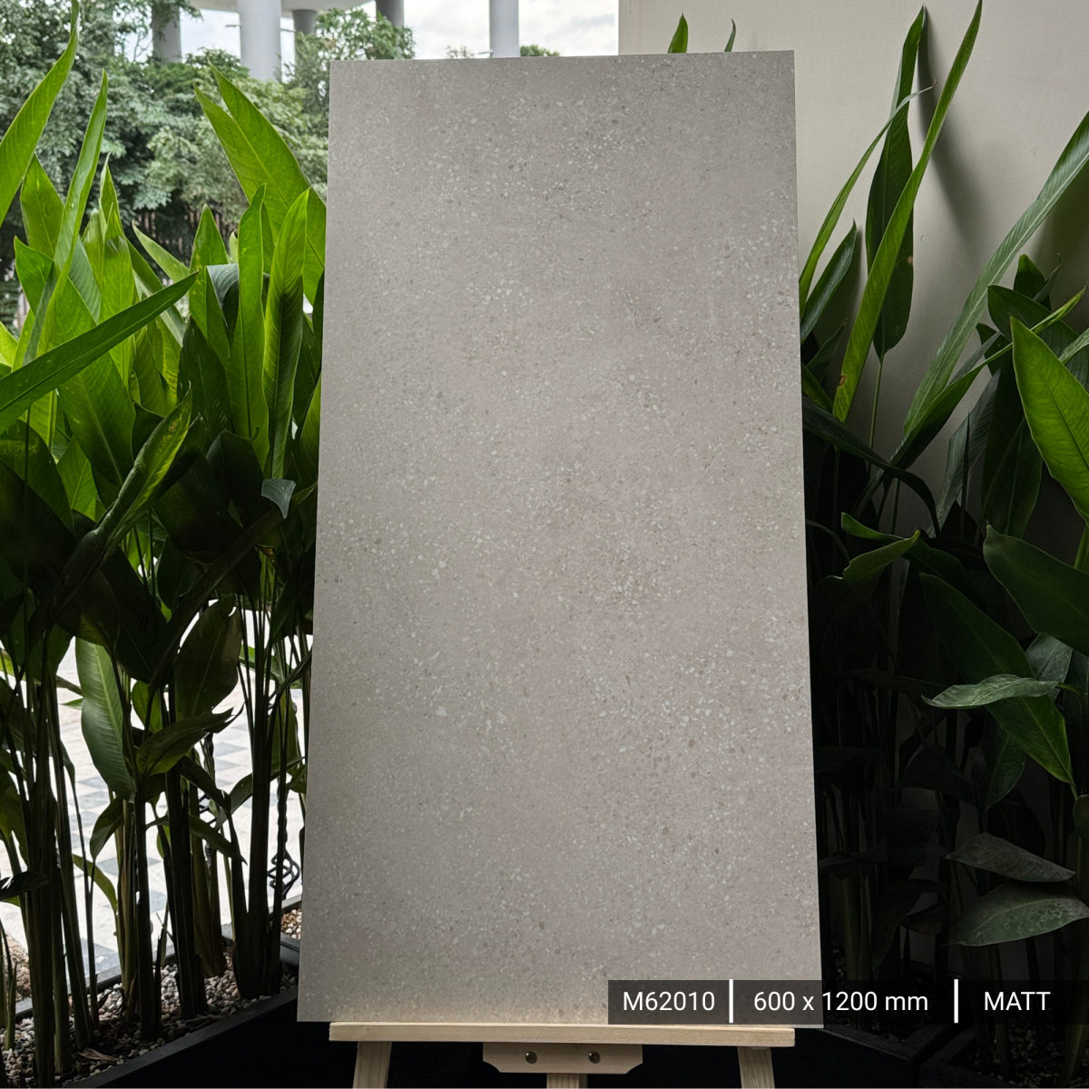 FTILES 600X1200 TROPICANA CREMA M62010