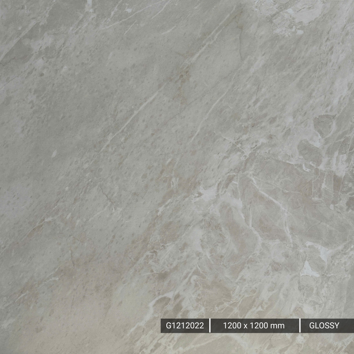 FTILES PALAMOSA IVORY-G1212022