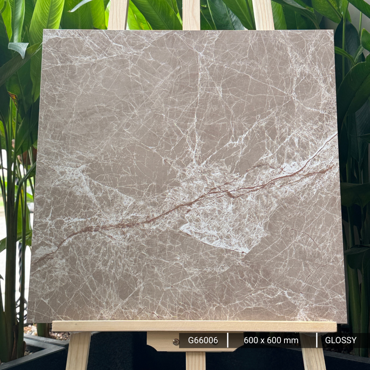 FTILES 600X600 ESPRADA BROWN  G66006