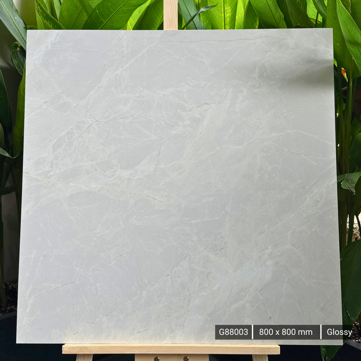 FTILES 800X800 ALICANTE LIGHT GREY G88003