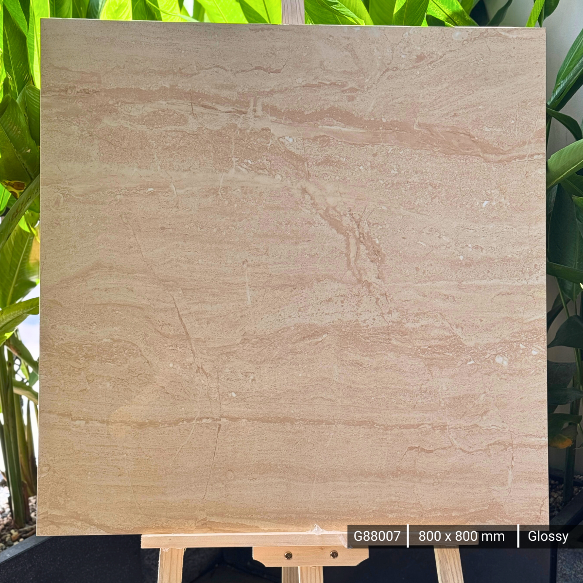 FTILES 800X800 DYNA BEIGE  G88007