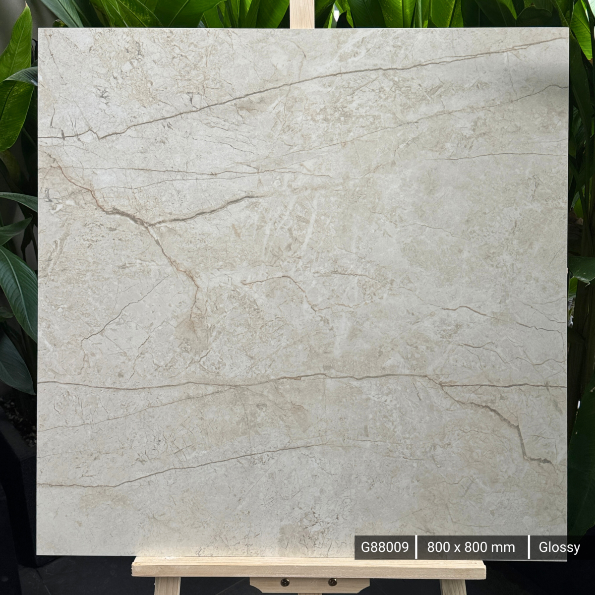 FTILES 800X800 ELEGANCE BEIGE  G88009