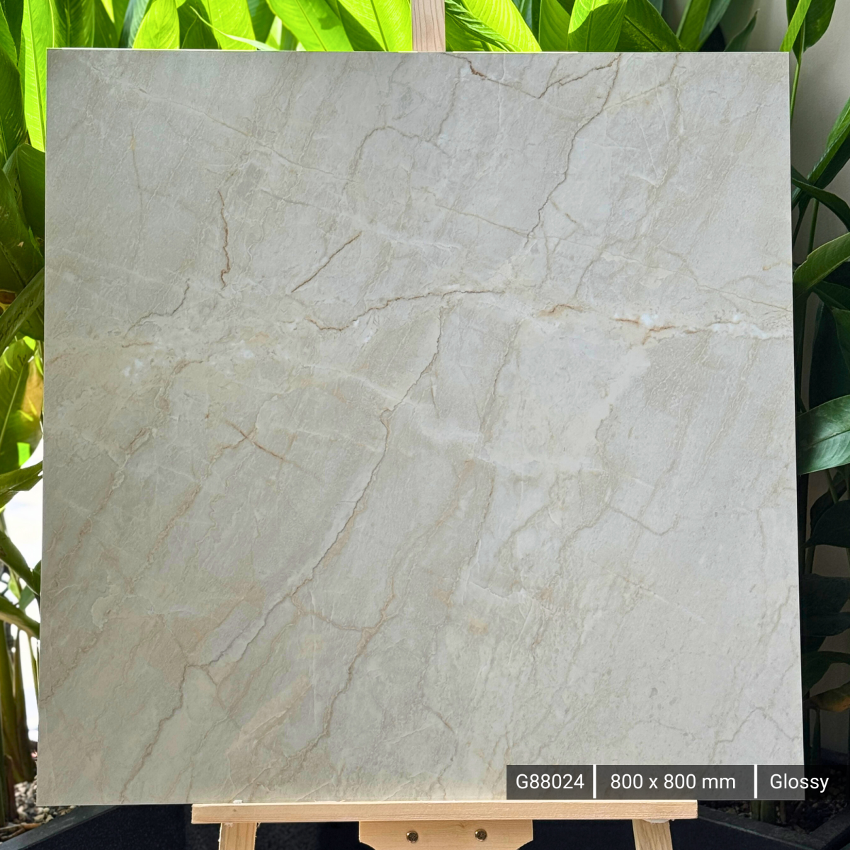 FTILES 800X800 DIOR BEIGE  G88024