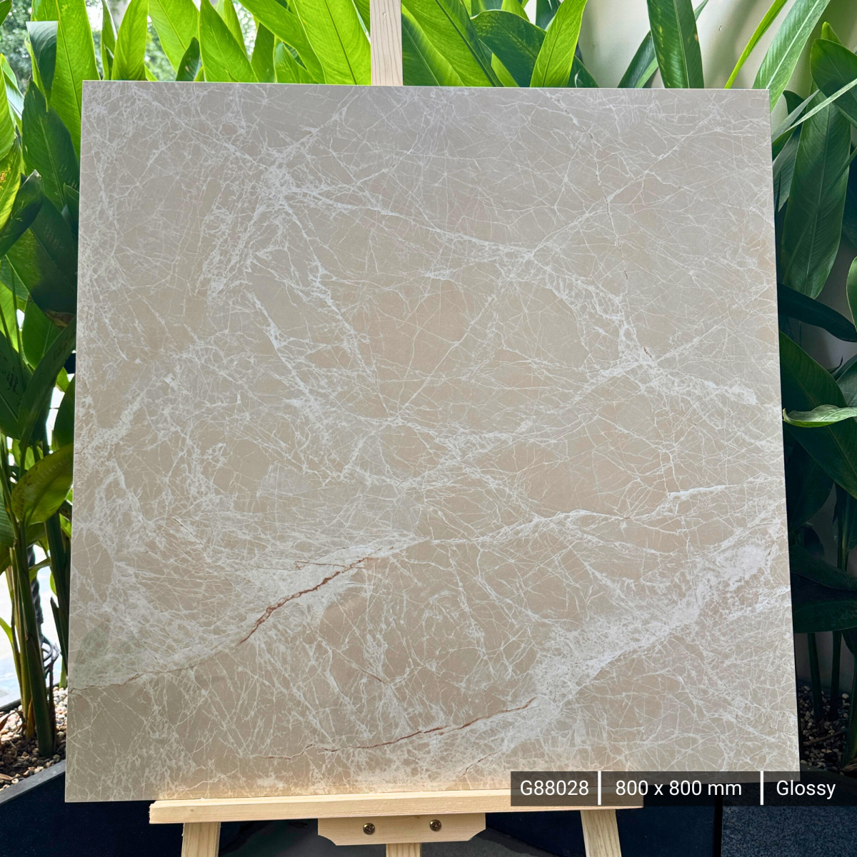 FTILES 800X800 SPREDA BROWN  G88028