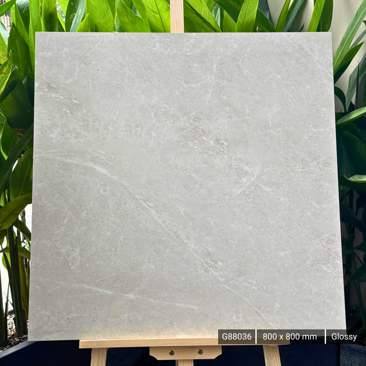 FTILES 800X800 DOLOMIA GREY  G88036