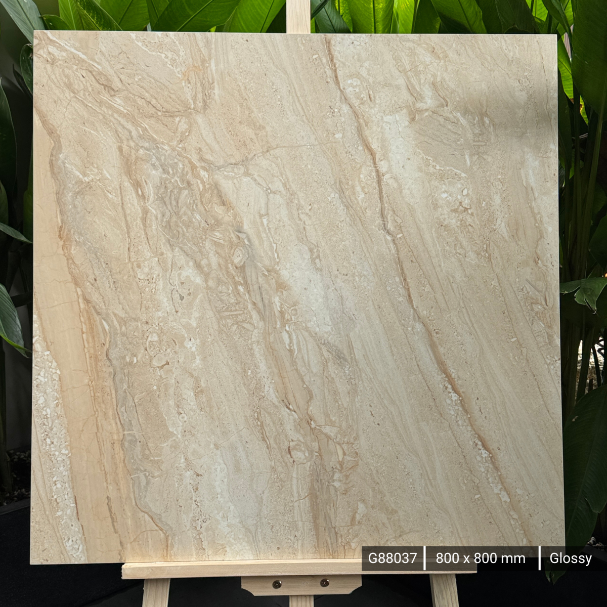 FTILES 800X800  DYNA FANTASTICO  G88037