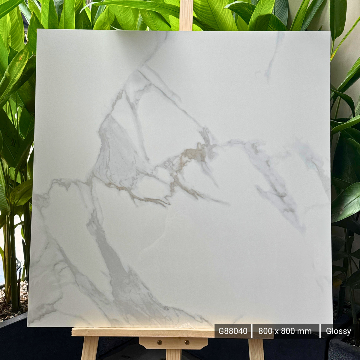 FTILES 800X800 PRIMAVERA WHITE  G88040