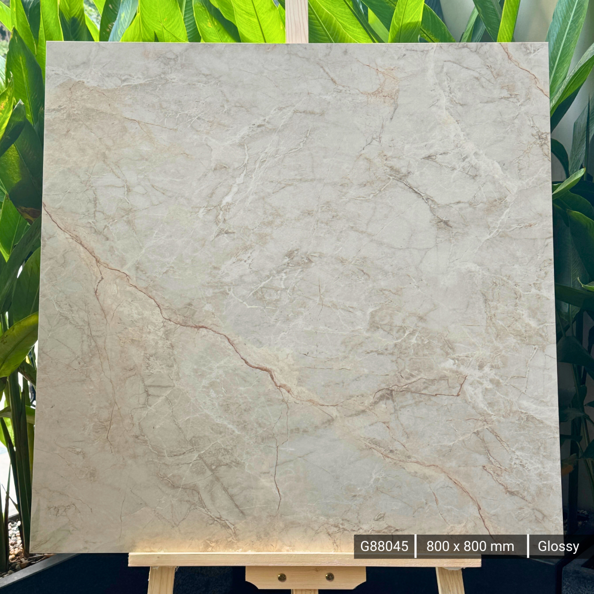 FTILES 800X800 SILVER ROOT BEIGE G88045