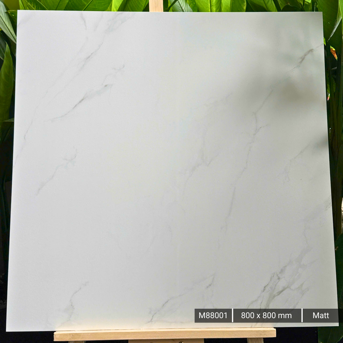 FTILES 800X800 PLANTA STATURIO M88001