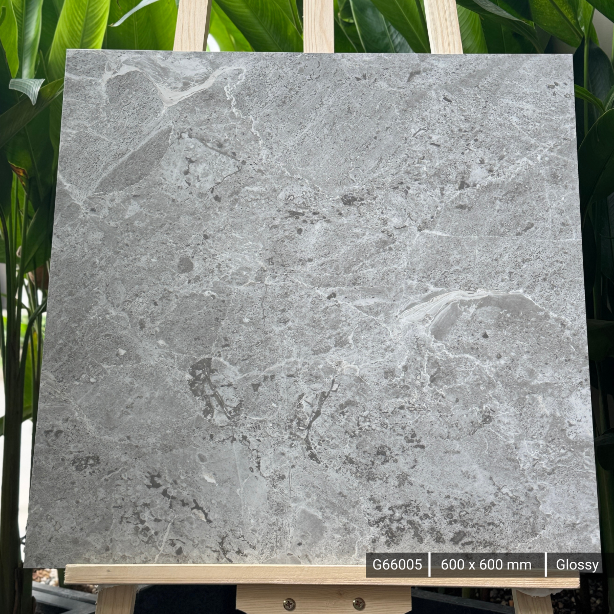 FTILES 600X600 BRECCIA BLANCO G66005