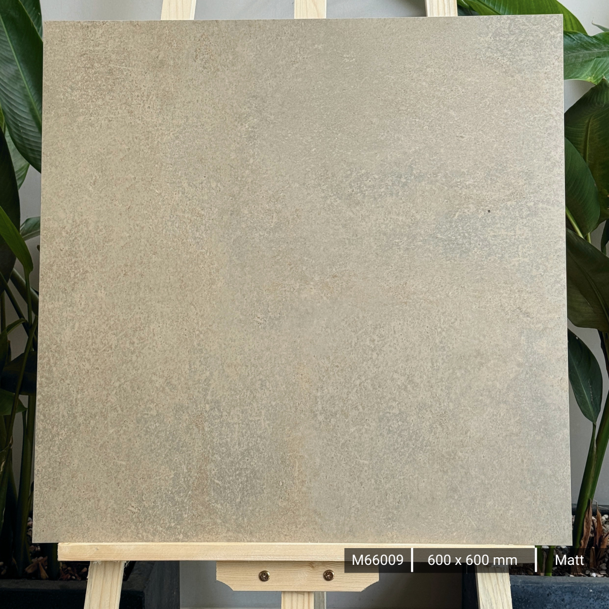 FTILES 600X600 ASTA ERTH  M66009