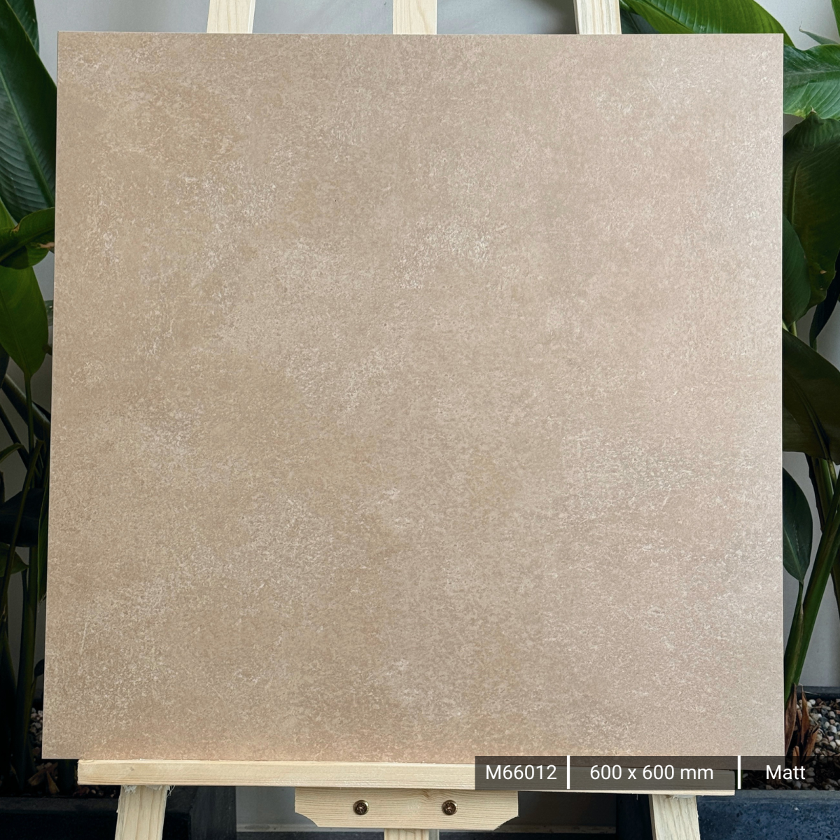 FTILES 600X600 ASTA CREMA M66012