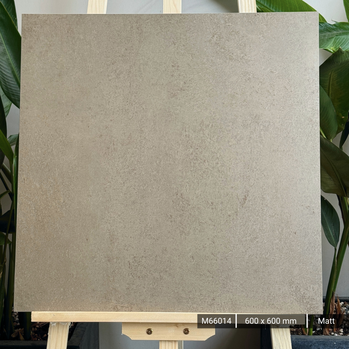 FTILES 600X600 ASTA OCRE M66014