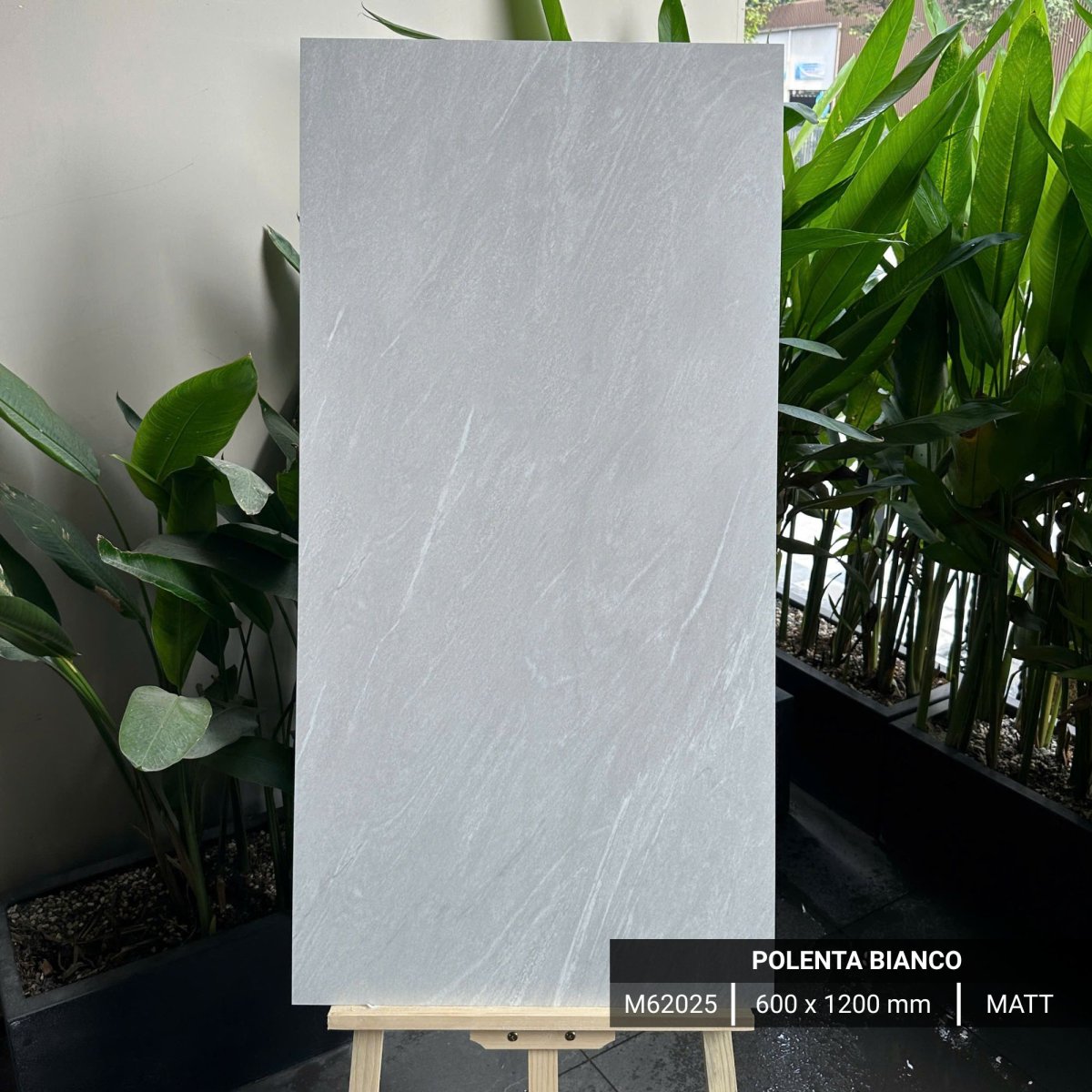 FTILES 600X1200 POLENTA BIANCO M62025