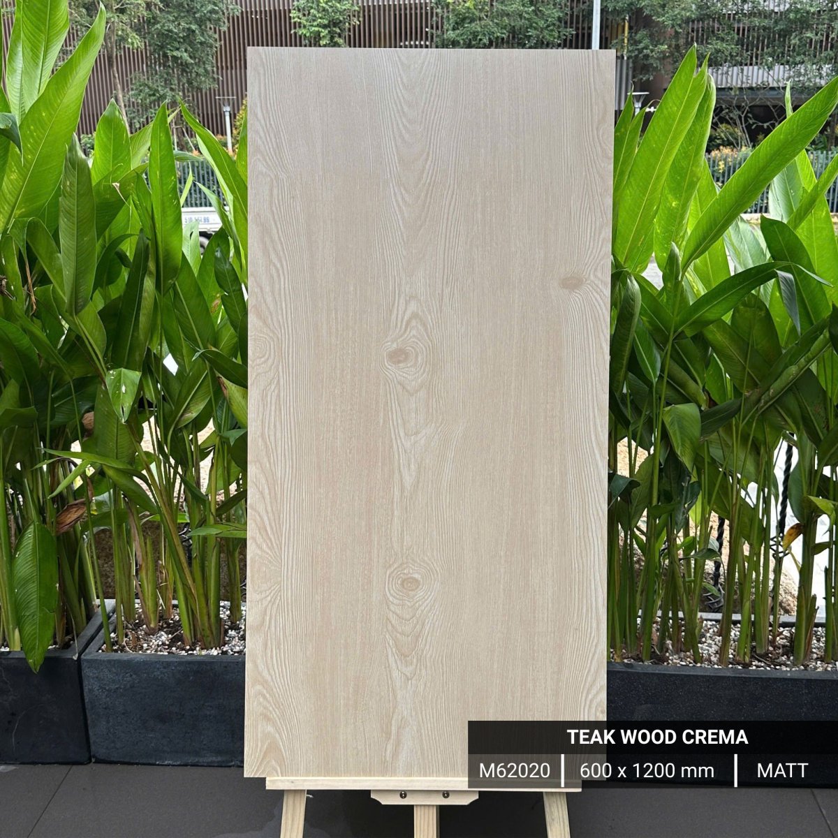 FTILES 600X1200 TEAK WOOD CREMA M62020