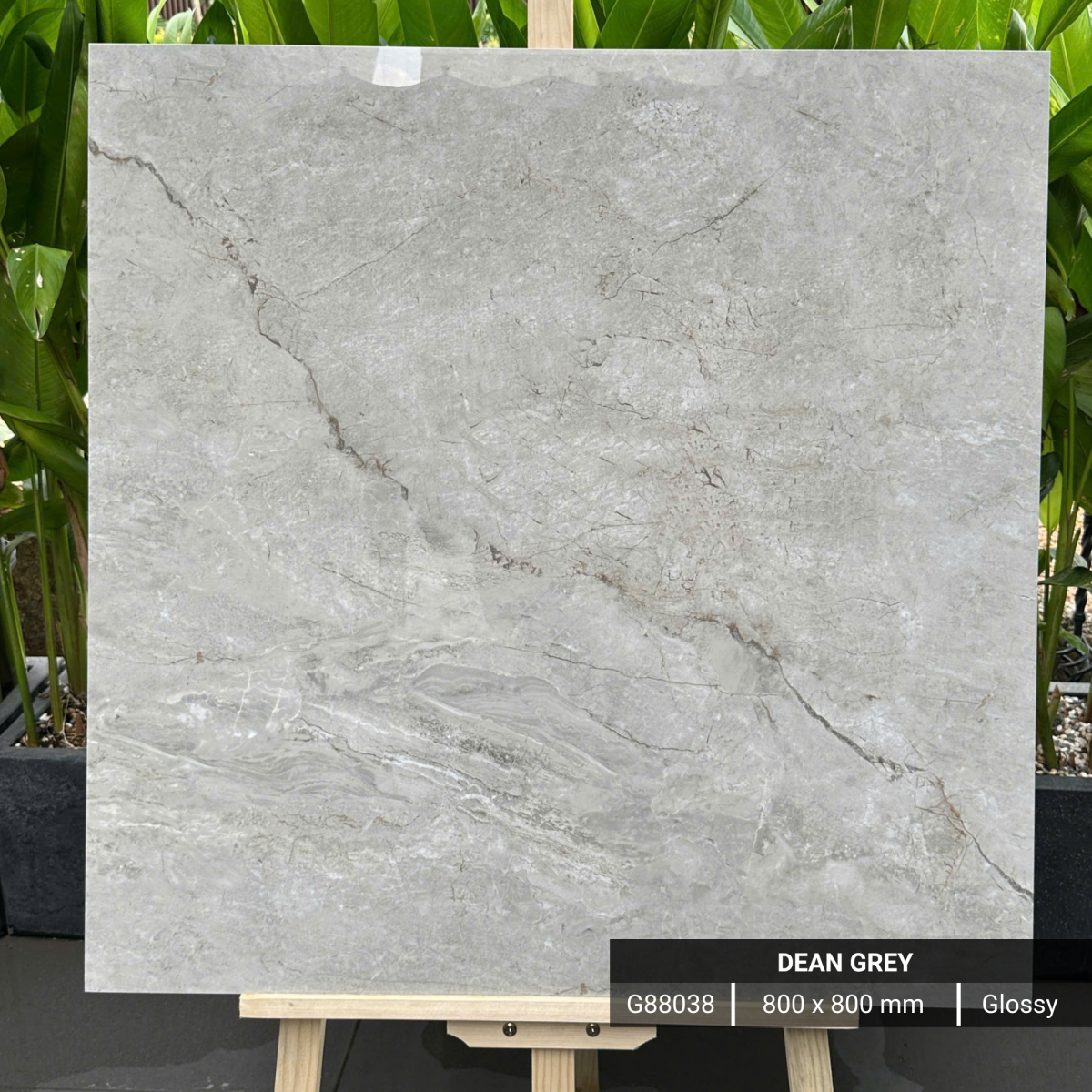 FTILES 800X800 DEAN GREY  G88038